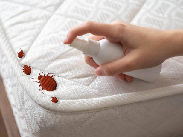 Best Pest Control for Multi-Family Homes  in Ellenville, NY